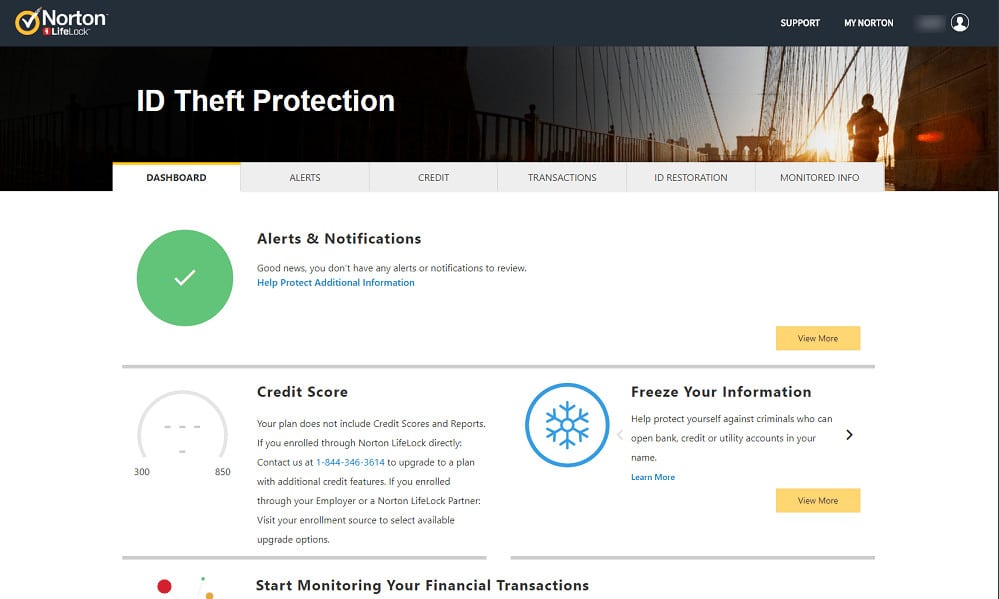Norton Privacy Monitor
