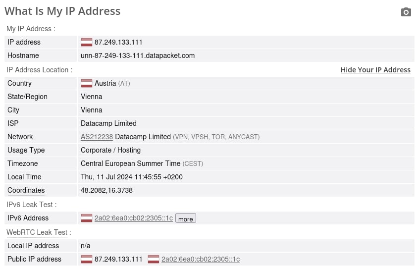ProtonVPN IP leak test.