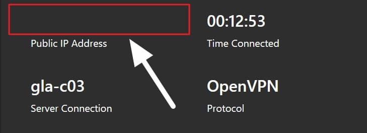 IPVanish public ip address missing