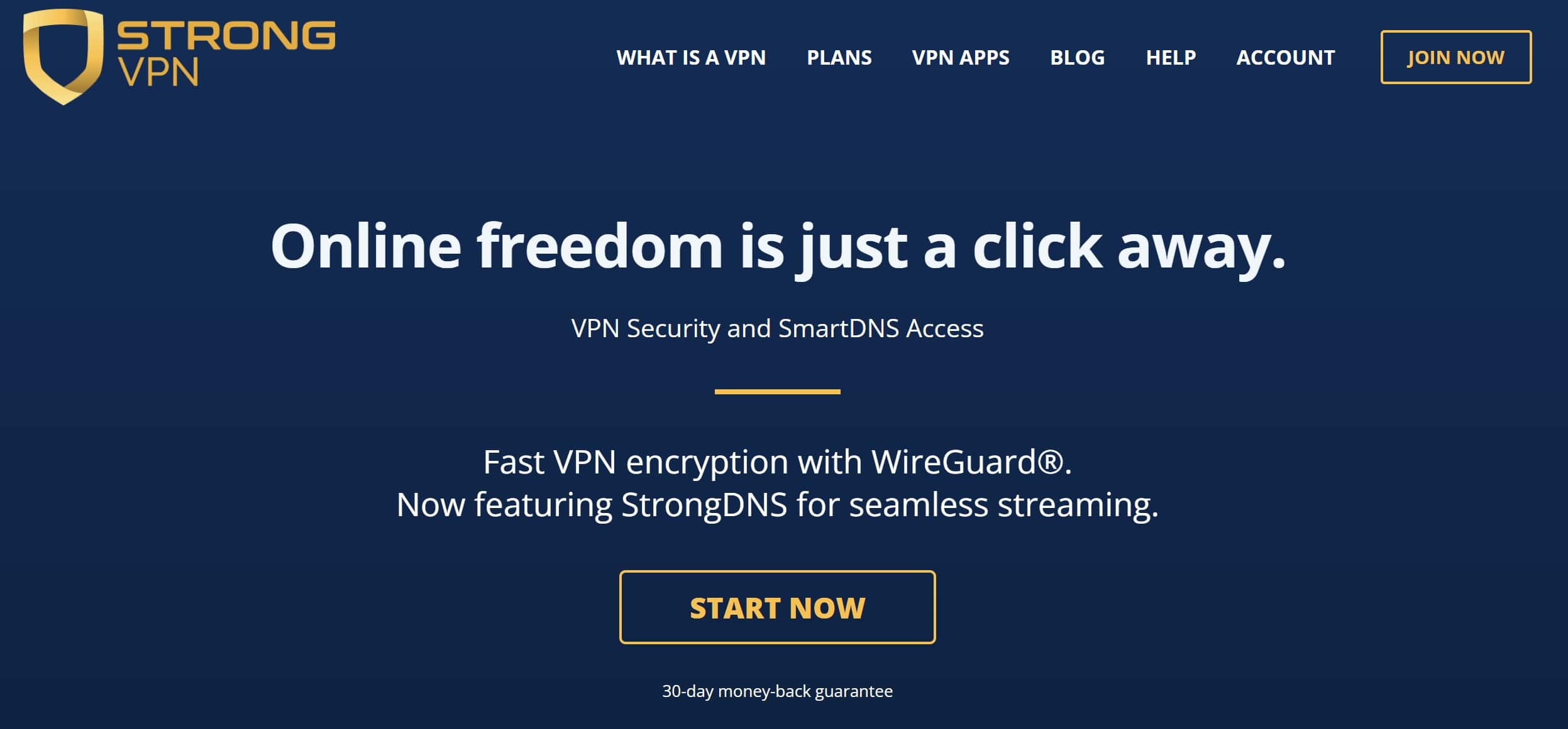 strongvpn home page
