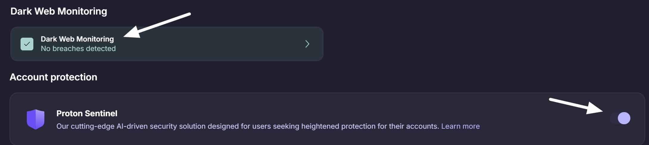 proton pass paid features